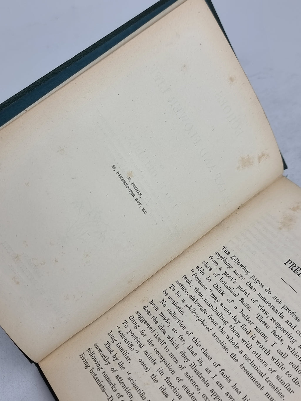 Echoes in Plant and Flower Life, Leo H. Grindon — 1st Edition