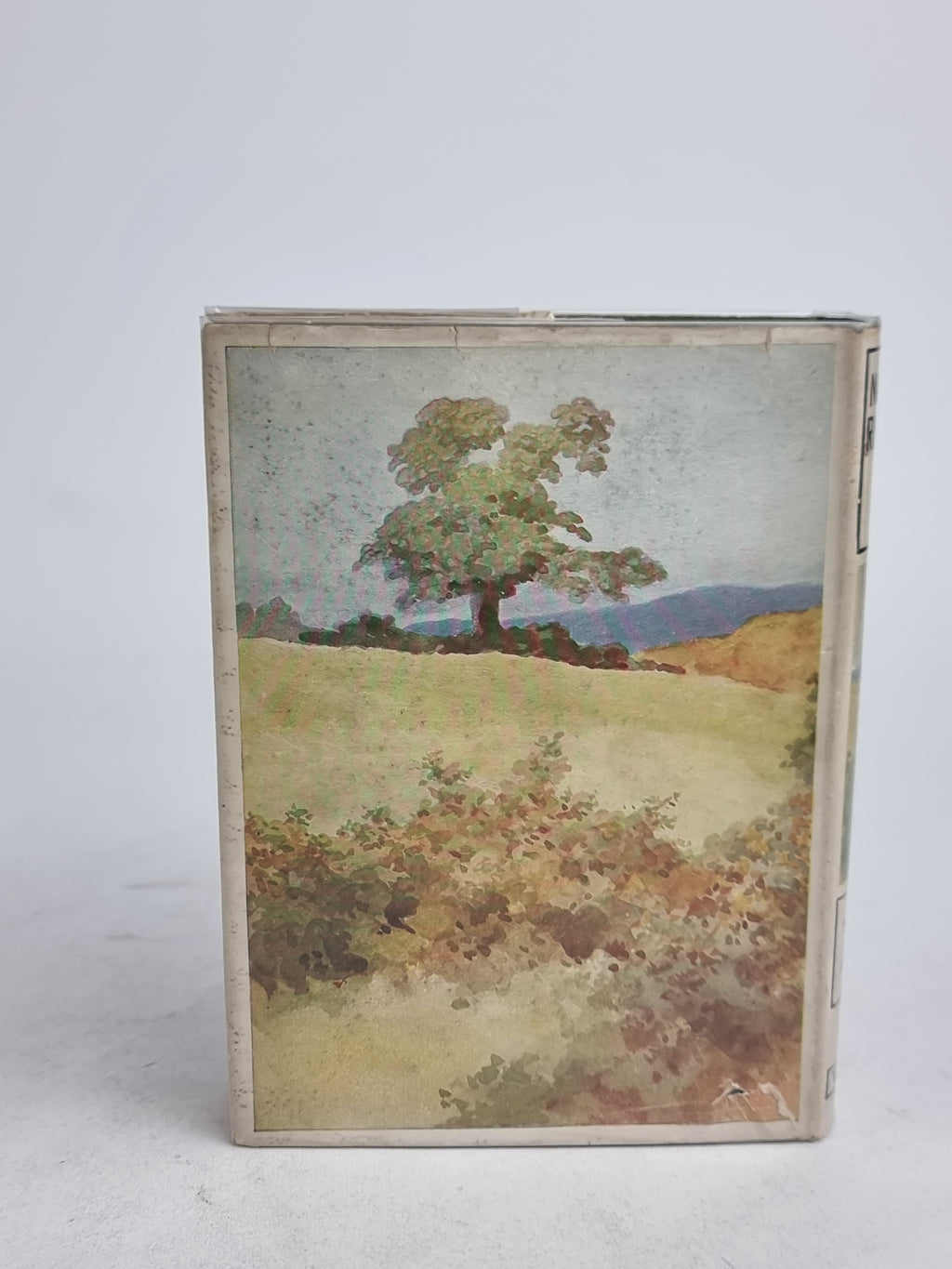 Nature Rambles: An Introduction to Country-Lore, Summer to Autumn, Edward Step