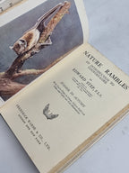 Nature Rambles: An Introduction to Country-Lore, Summer to Autumn, Edward Step