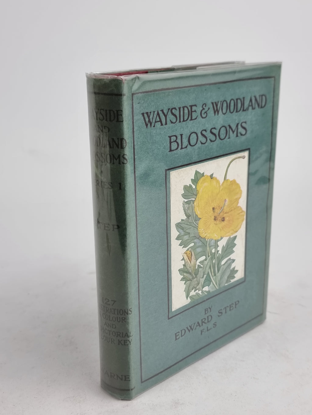 Wayside and Woodland Blossoms: A Guide to British Wild-Flowers, Edward Step