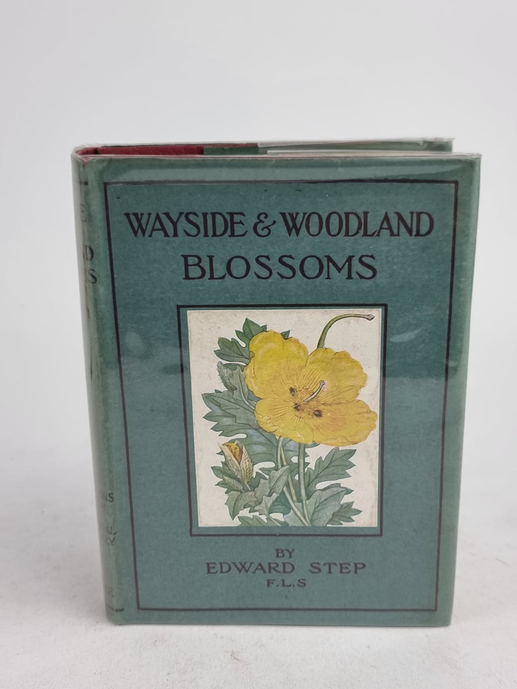 Wayside and Woodland Blossoms: A Guide to British Wild-Flowers, Edward Step