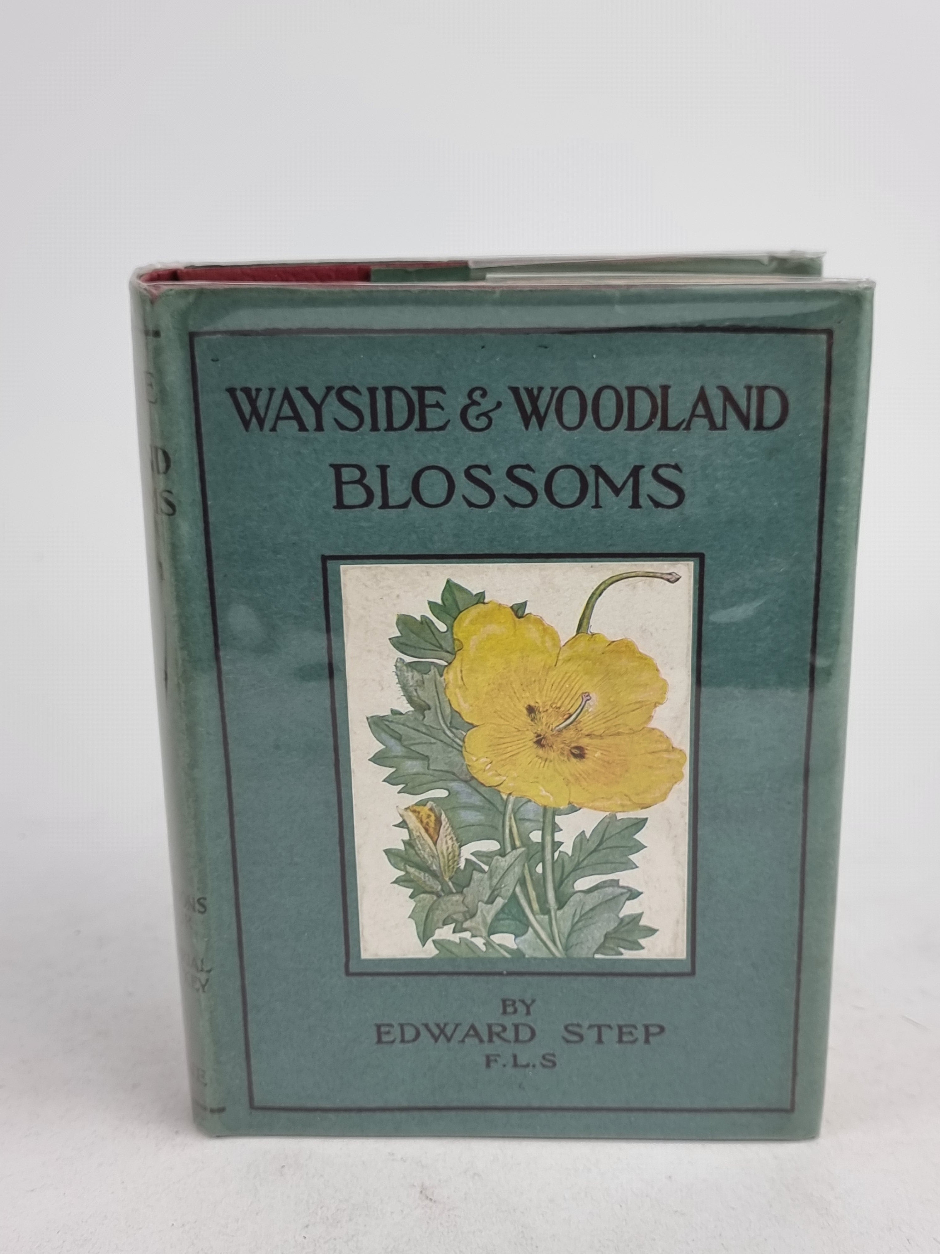 Wayside and Woodland Blossoms: A Guide to British Wild-Flowers, Edward Step