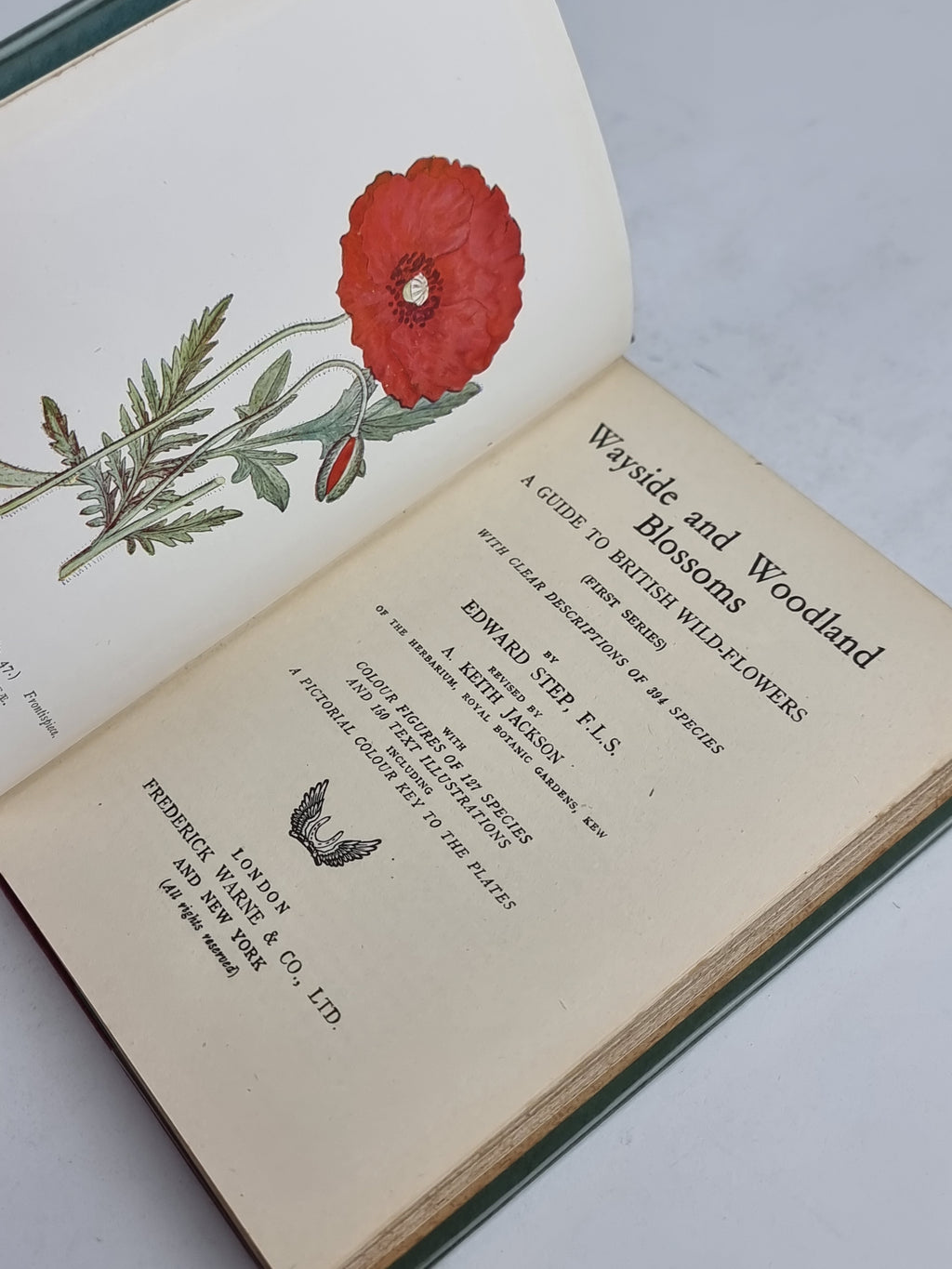 Wayside and Woodland Blossoms: A Guide to British Wild-Flowers, Edward Step