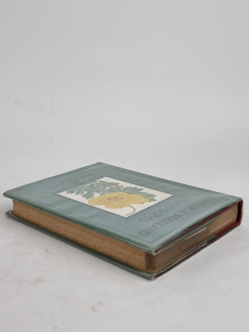 Wayside and Woodland Blossoms: A Guide to British Wild-Flowers, Edward Step