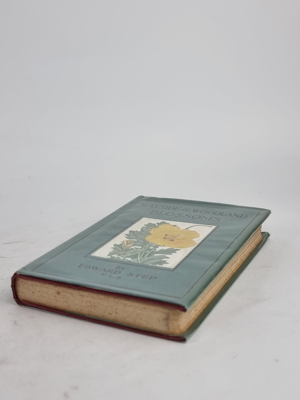 Wayside and Woodland Blossoms: A Guide to British Wild-Flowers, Edward Step