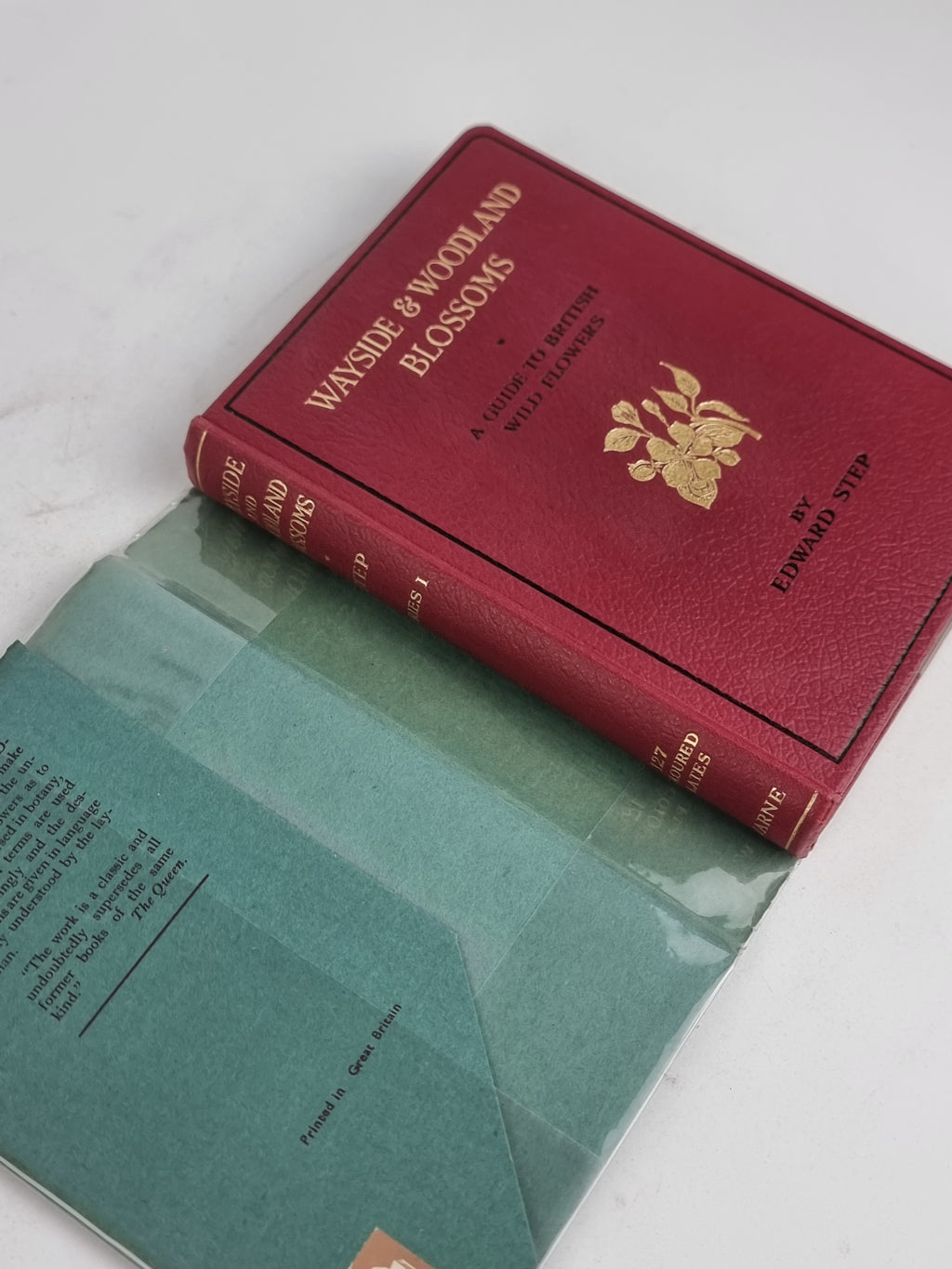 Wayside and Woodland Blossoms: A Guide to British Wild-Flowers, Edward Step
