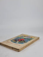 The Nine Lives of Crusoe: His Second Life, Margaret Alleyne — 1st Edition
