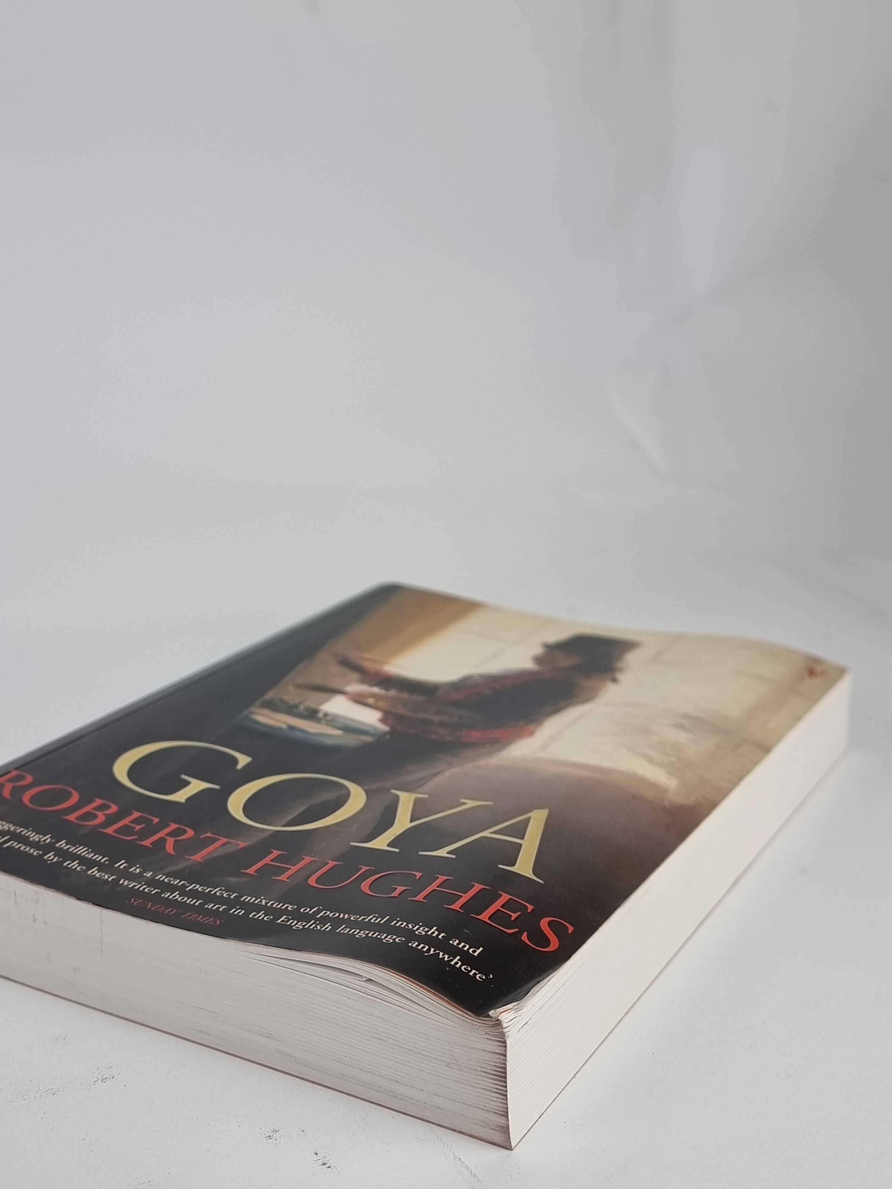 Goya, Robert Hughes — Vintage Paperback Edition