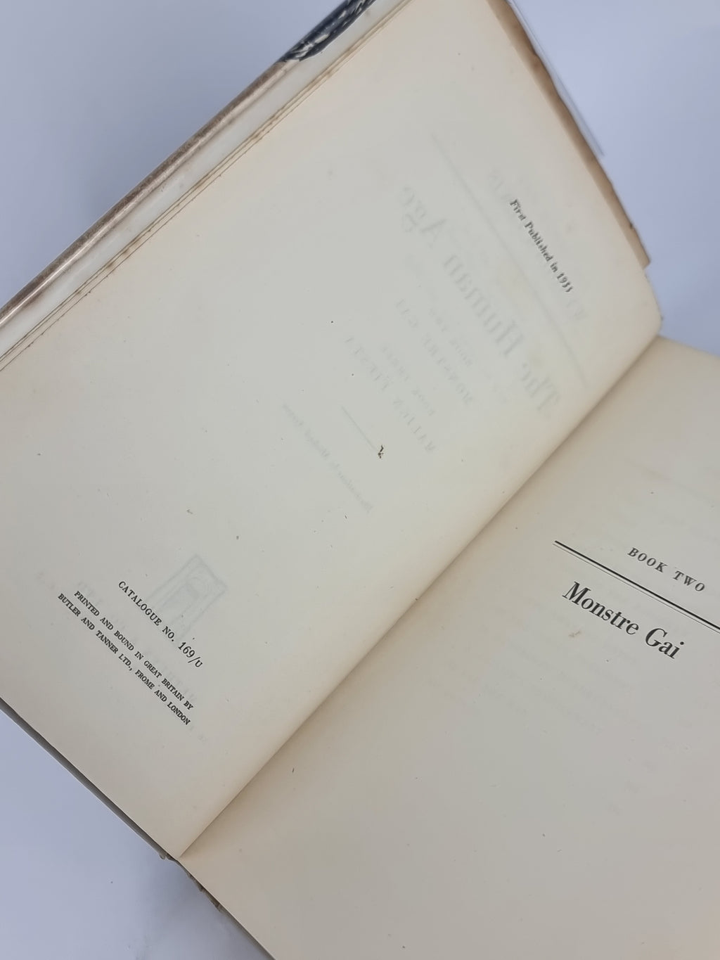 The Human Age (Childermass; Monstre Gai & Malign Fiesta), Wyndham Lewis