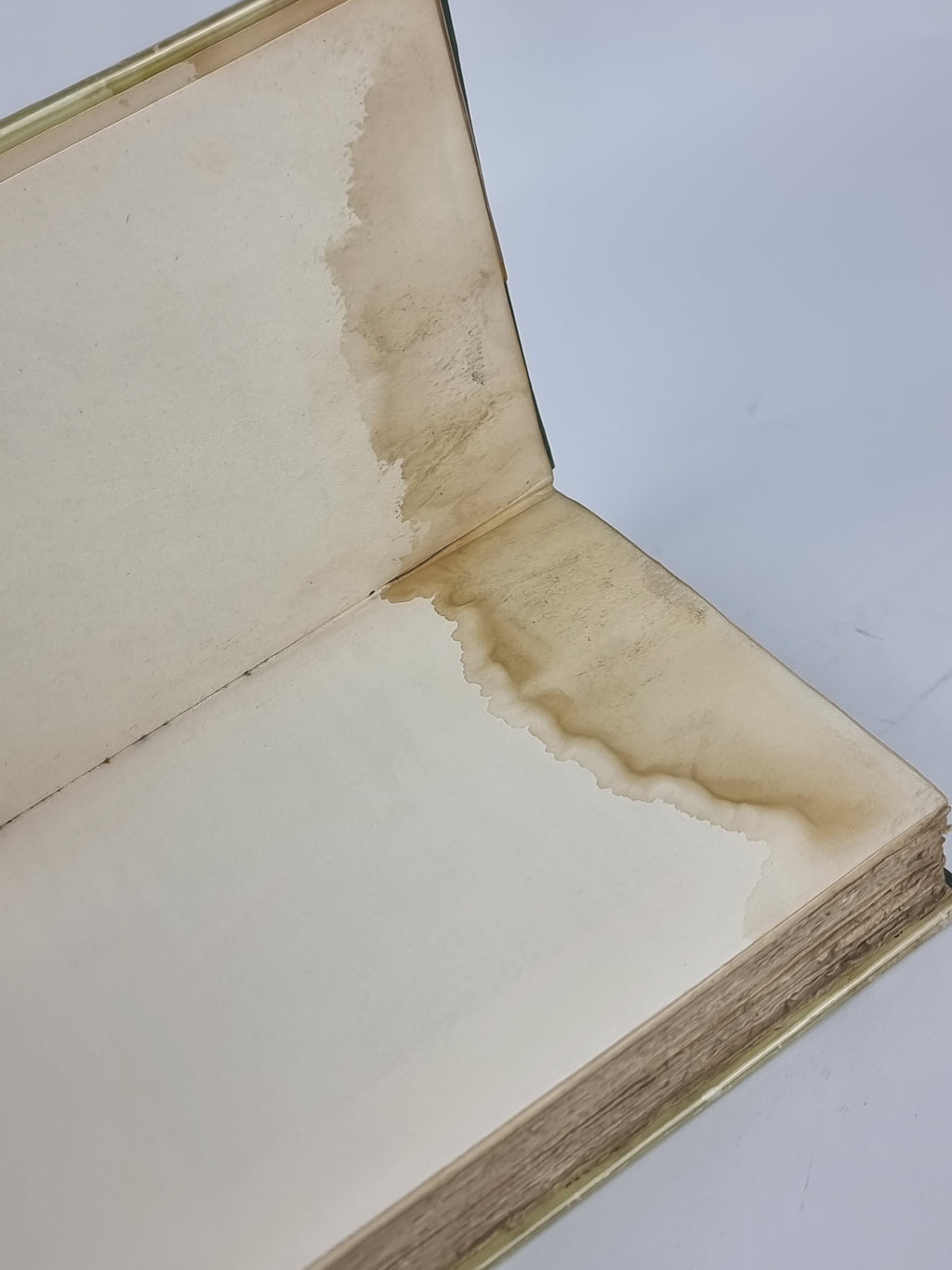 Golf, Cecil Leitch — 1st Edition