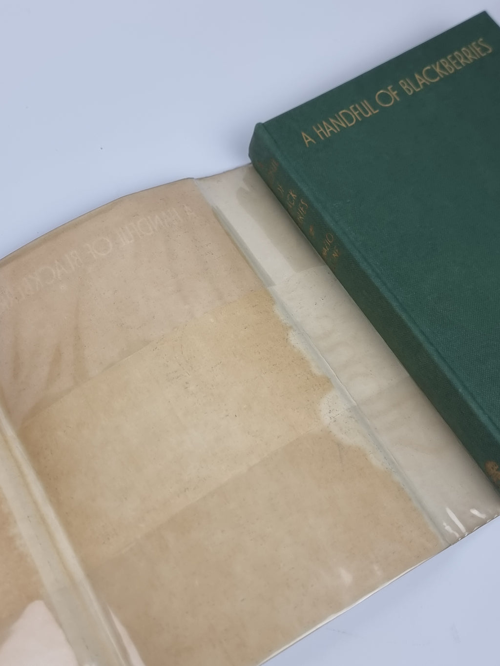 A Handful of Blackberries, Ignazio Silone — 1st UK Edition