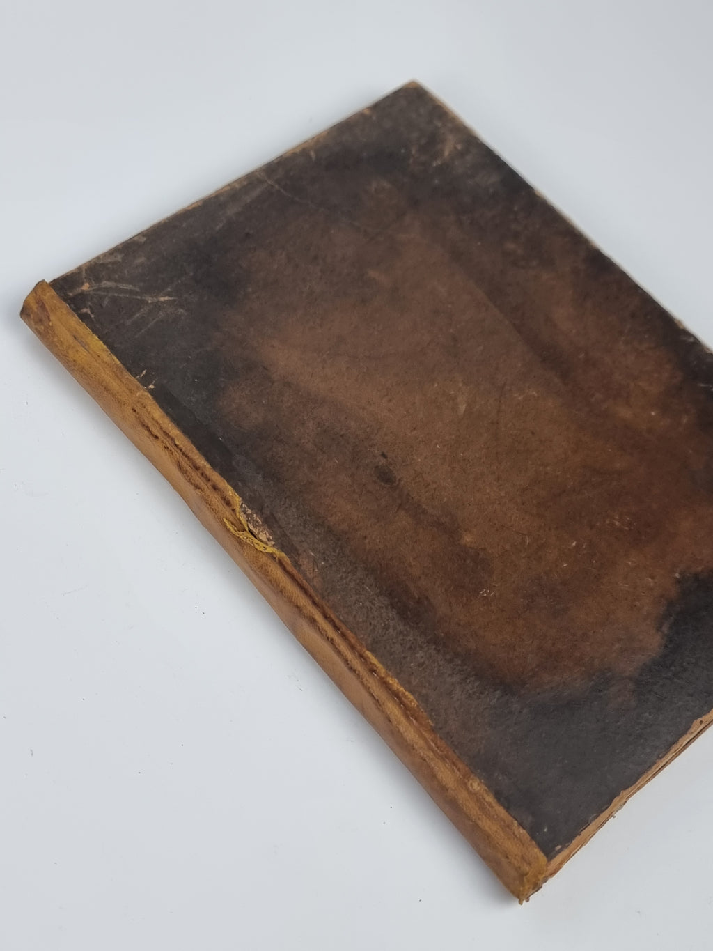 Gvl. Forner II; Antecessoris Averl II, Selection Nvm, Gulielmus Forneius — 1st Ed.