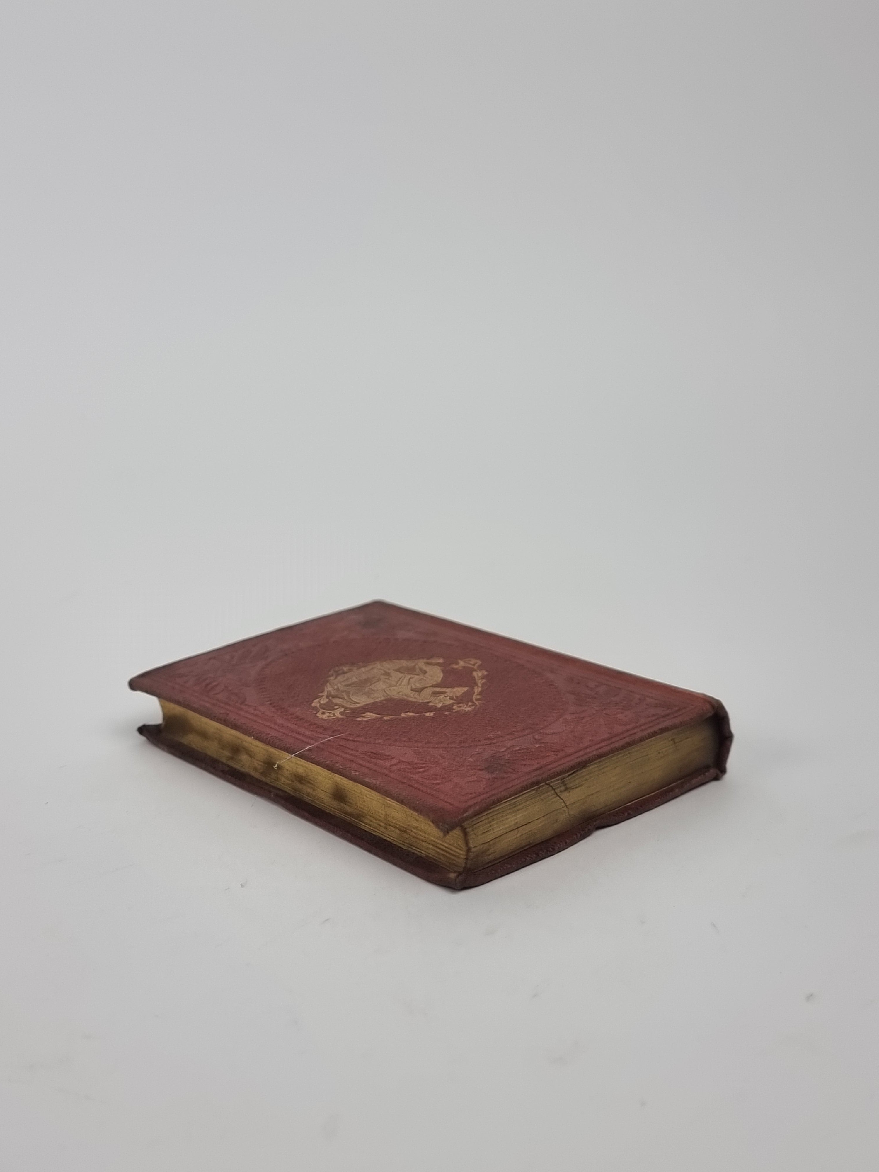 The Tour of Doctor Syntax, In Search of the Picturesque: A Poem, William Combe