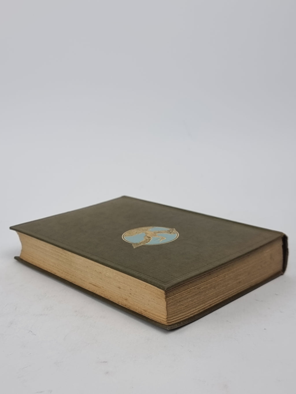 Wanderings of a Naturalist, Seton Gordon — 1st Edition