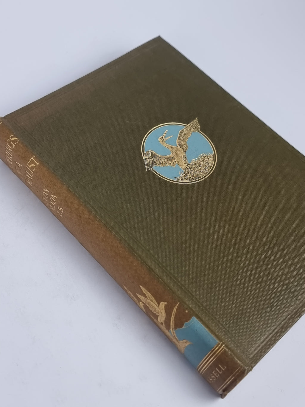 Wanderings of a Naturalist, Seton Gordon — 1st Edition