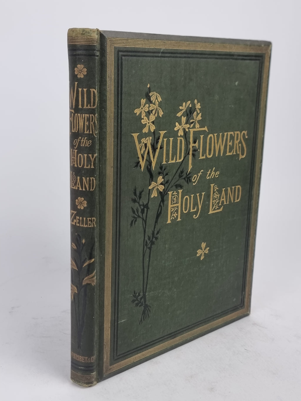 Wild Flowers of the Holy Land, Mrs Hannah Zeller — [c. 1875]