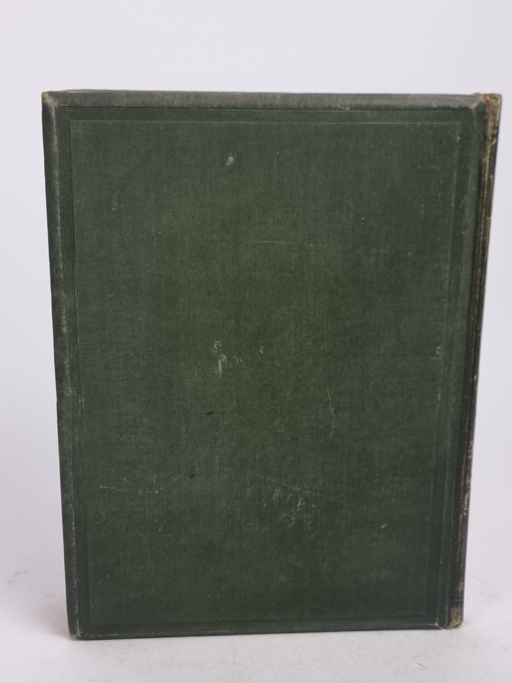 Wild Flowers of the Holy Land, Mrs Hannah Zeller — [c. 1875]