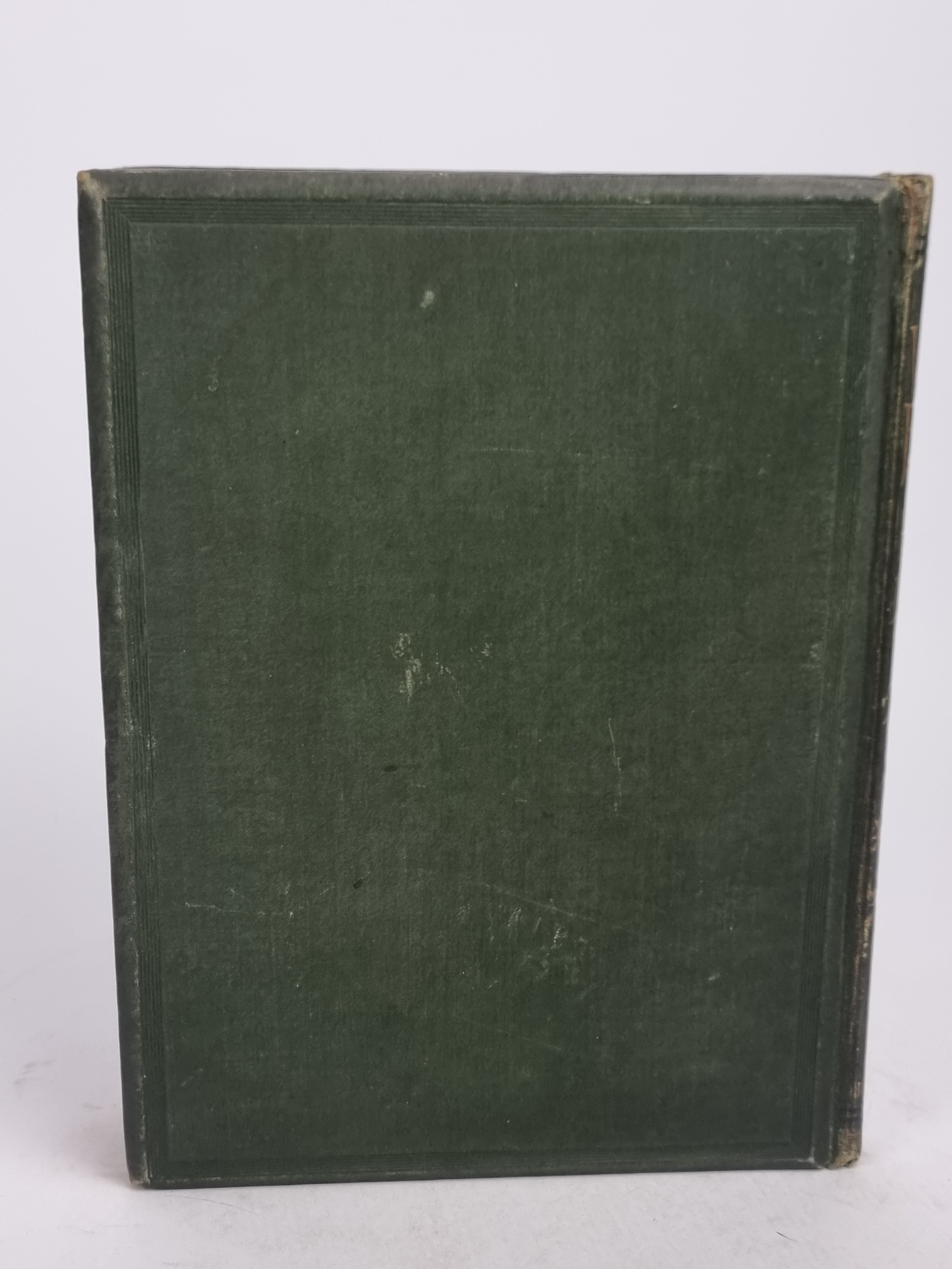 Wild Flowers of the Holy Land, Mrs Hannah Zeller — [c. 1875]