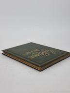 Wild Flowers of the Holy Land, Mrs Hannah Zeller — [c. 1875]