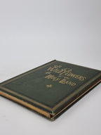 Wild Flowers of the Holy Land, Mrs Hannah Zeller — [c. 1875]