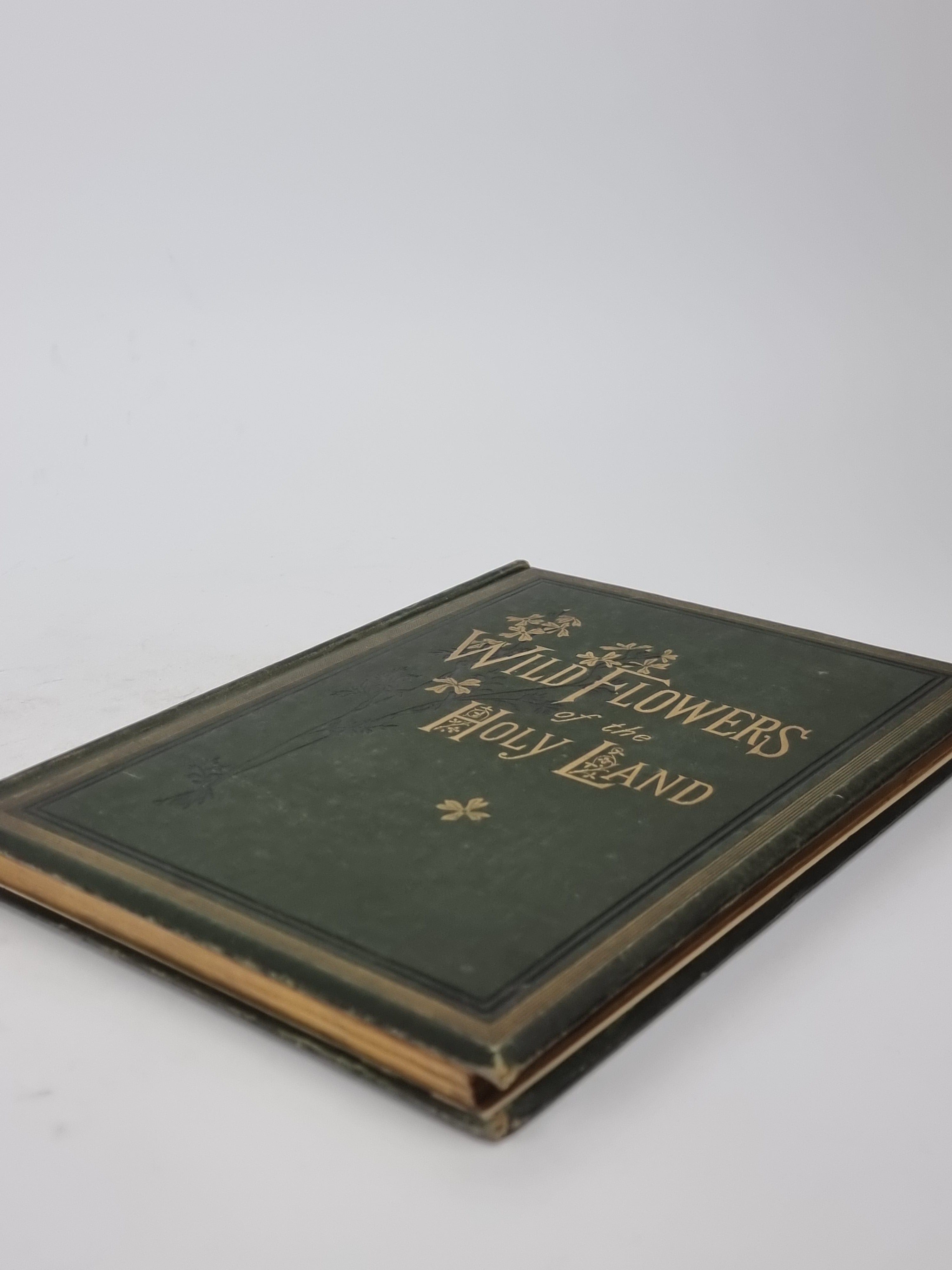 Wild Flowers of the Holy Land, Mrs Hannah Zeller — [c. 1875]