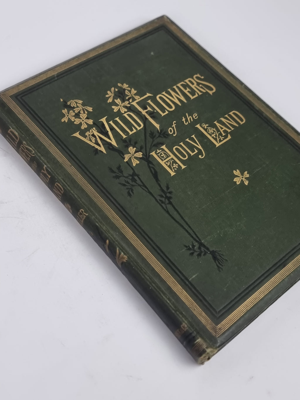Wild Flowers of the Holy Land, Mrs Hannah Zeller — [c. 1875]