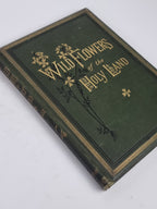 Wild Flowers of the Holy Land, Mrs Hannah Zeller — [c. 1875]