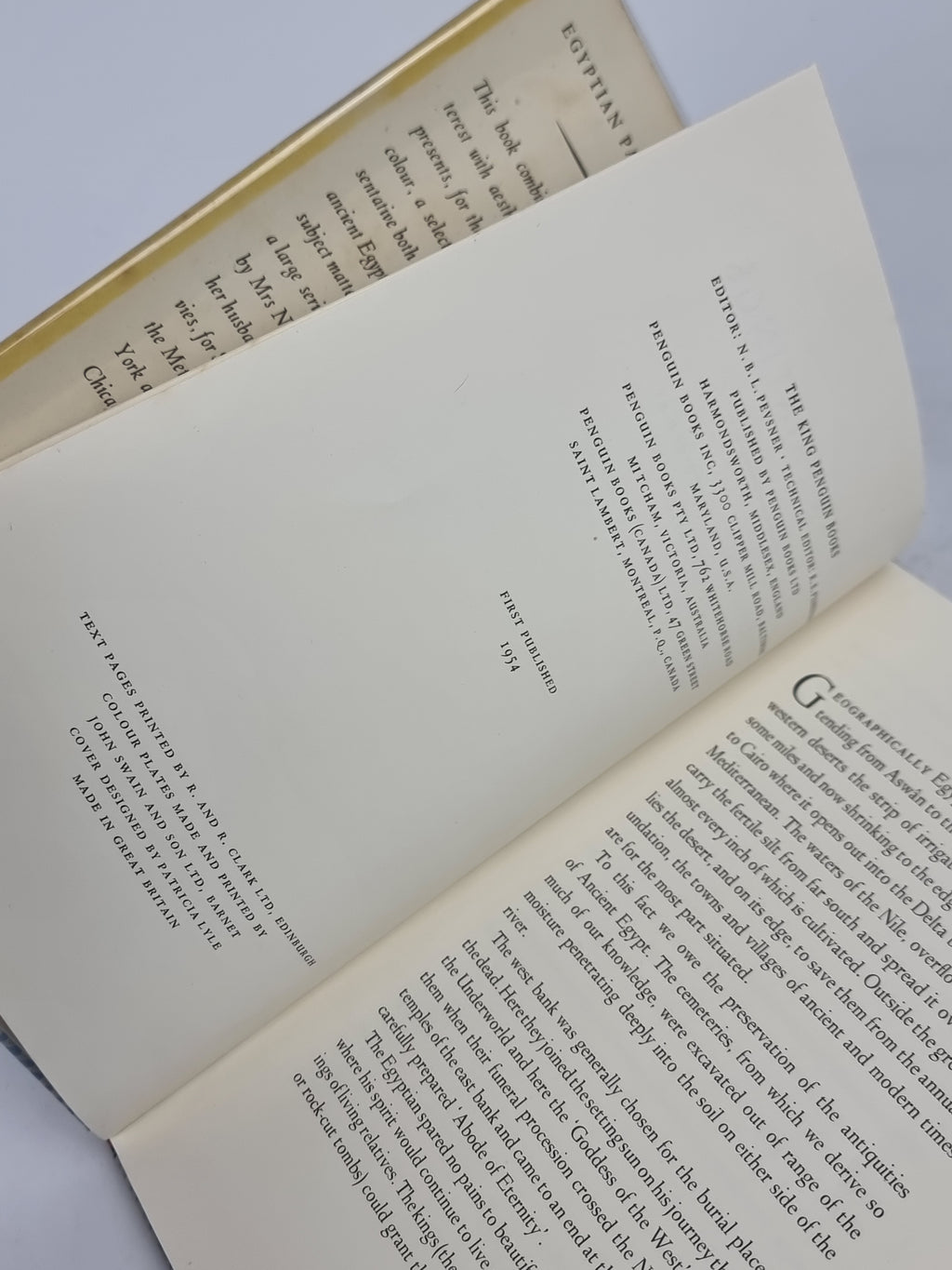 Egyptian Paintings, Nina M. Davies — 1st Edition