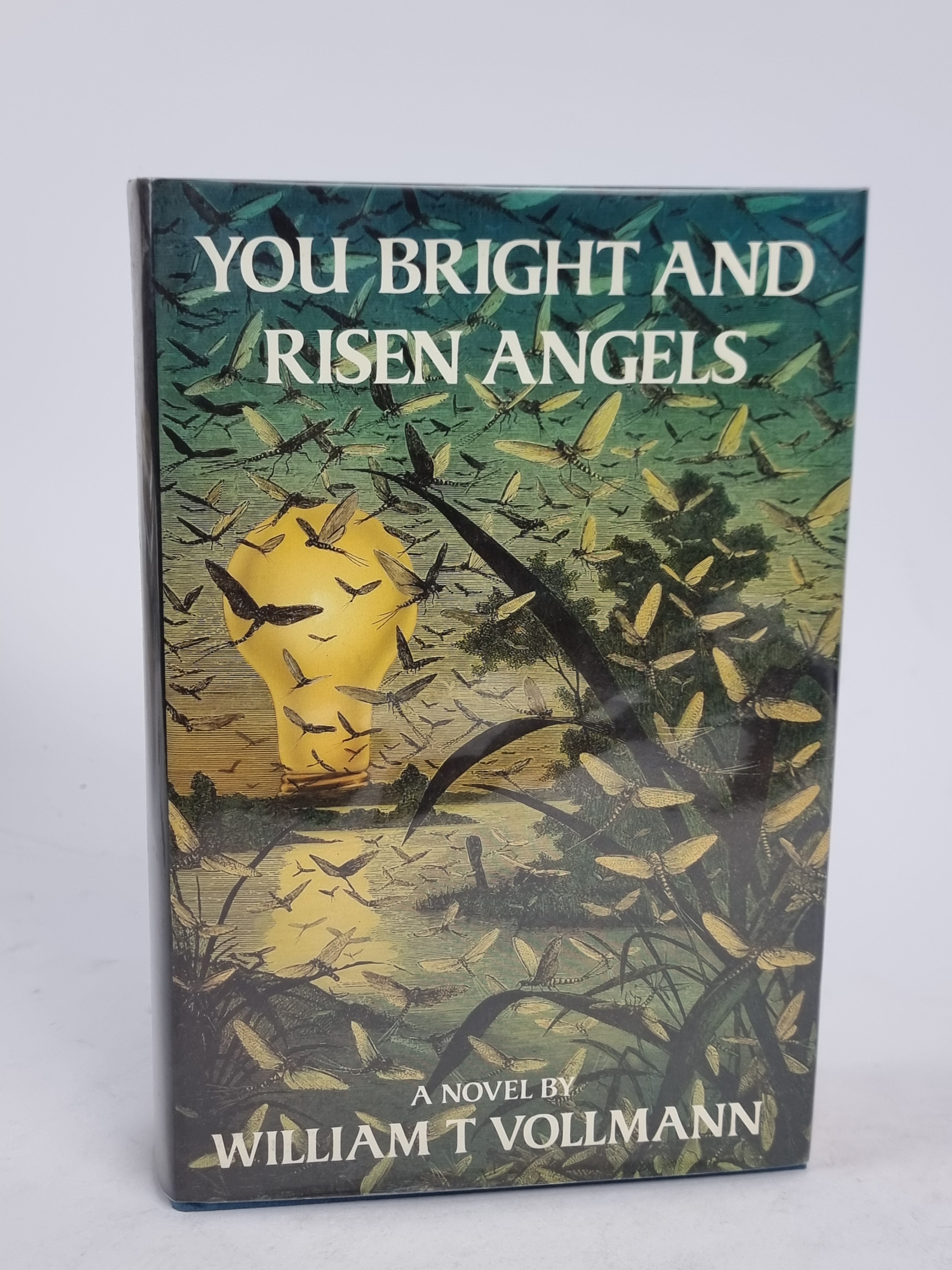 You Bright and Risen Angels, William T. Vollmann — 1st Edition