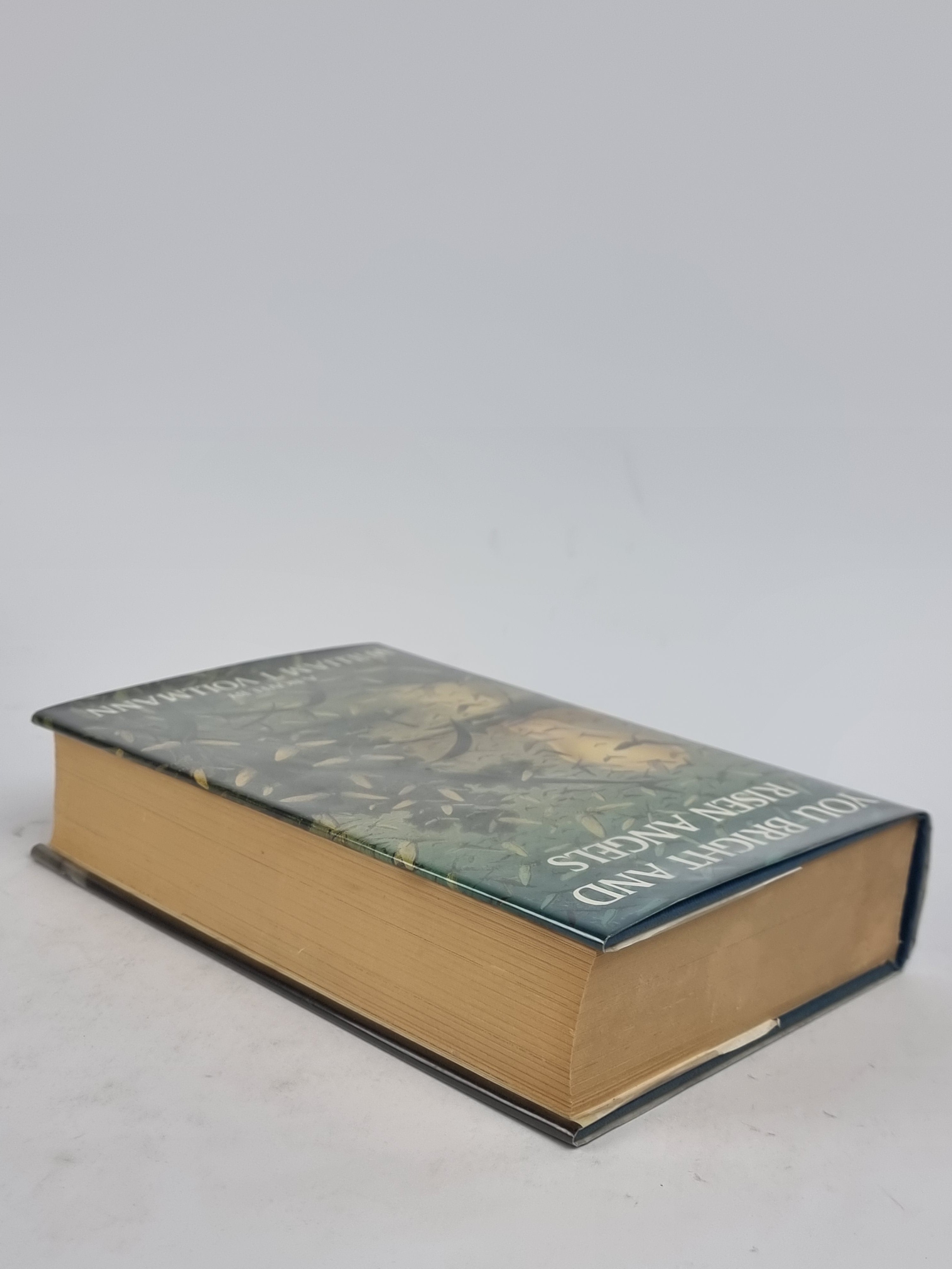 You Bright and Risen Angels, William T. Vollmann — 1st Edition