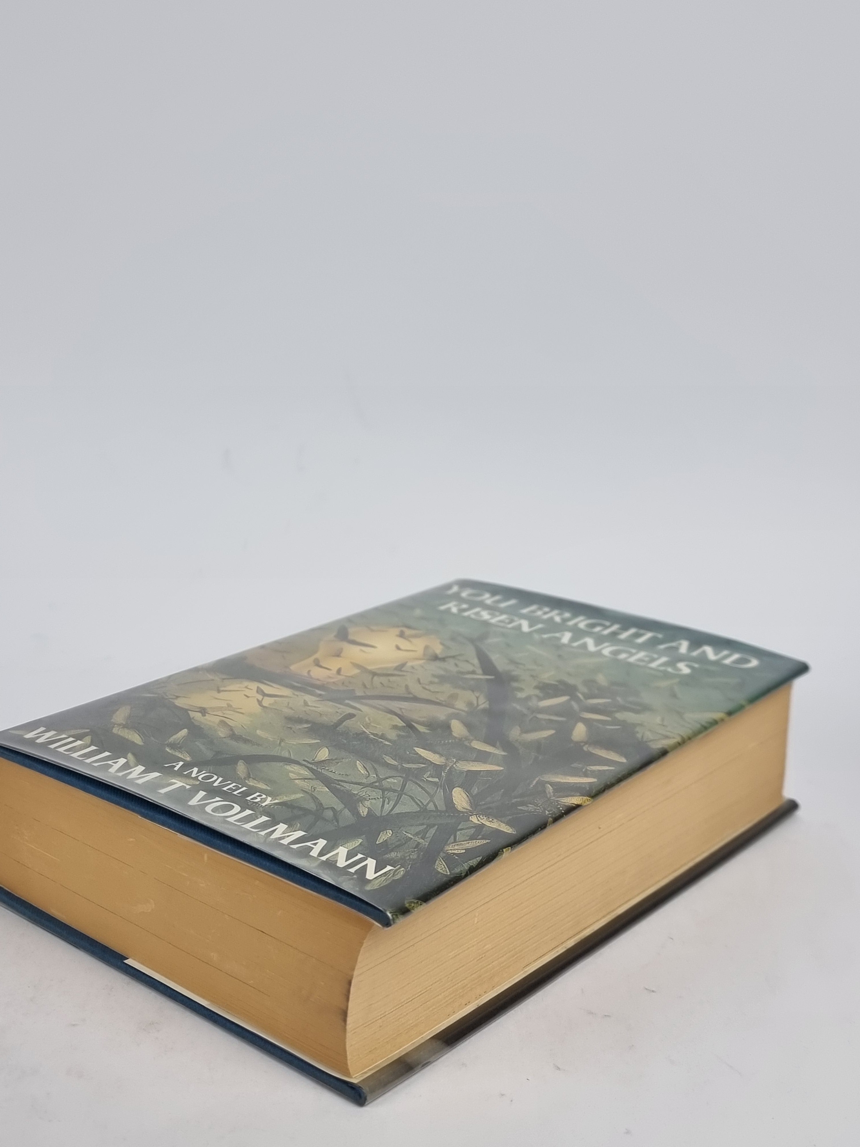 You Bright and Risen Angels, William T. Vollmann — 1st Edition
