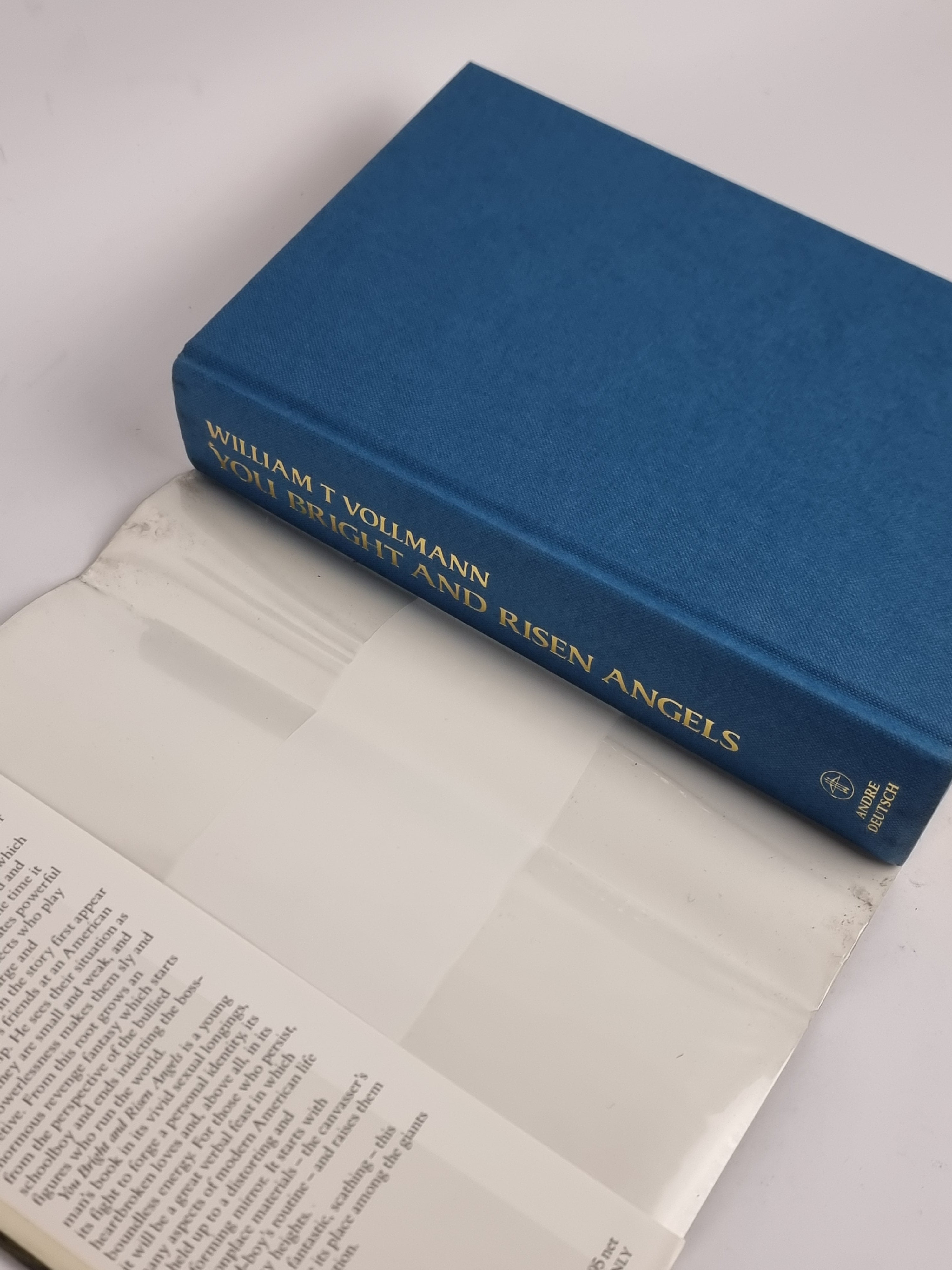 You Bright and Risen Angels, William T. Vollmann — 1st Edition