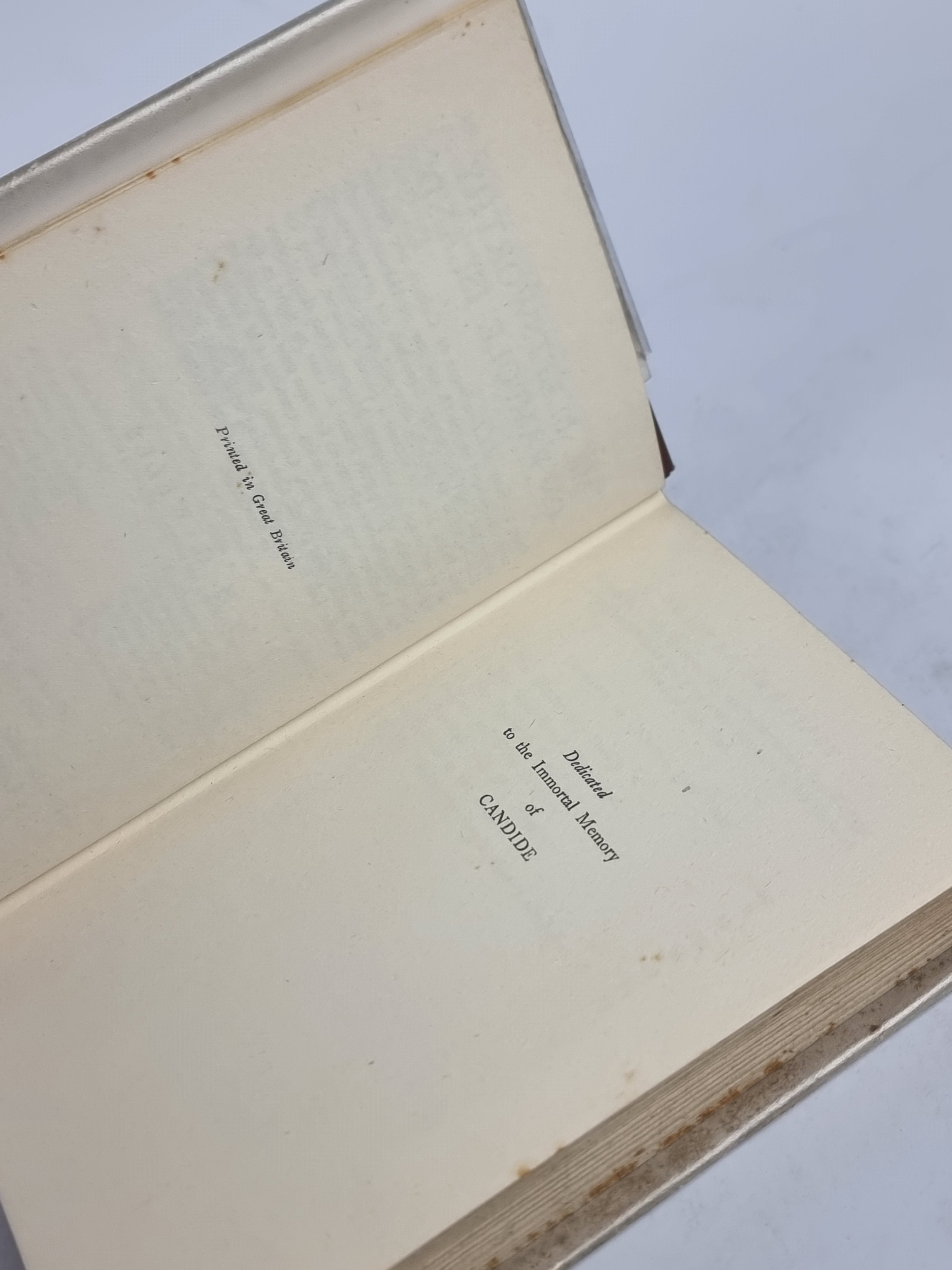 Mr. Blettsworthy on Rampole Island, H. G. Wells — 1st Edition