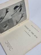Wings in the Sun, L. Hugh Newman