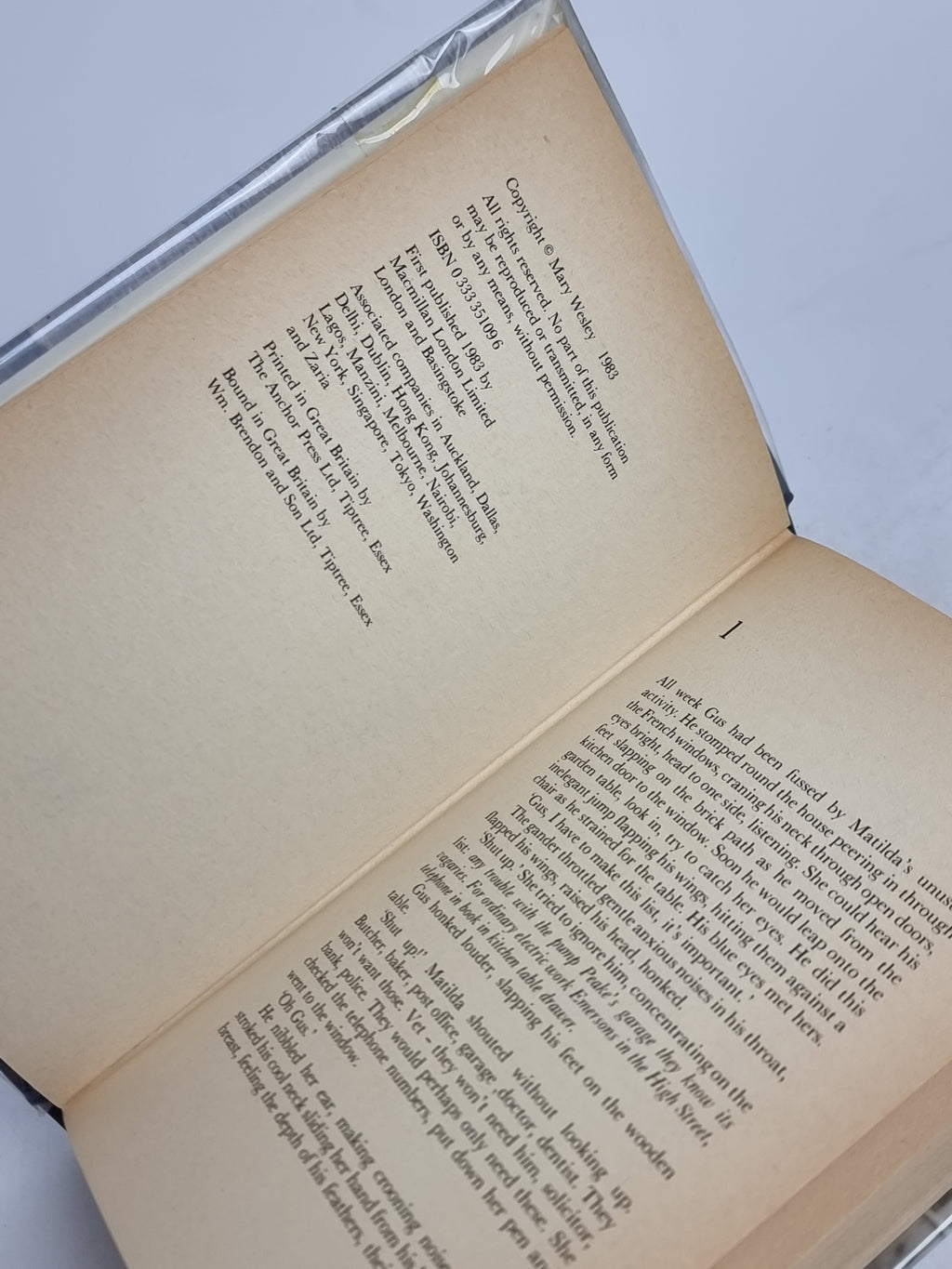 Jumping the Queue, Mary Wesley — 1st Edition