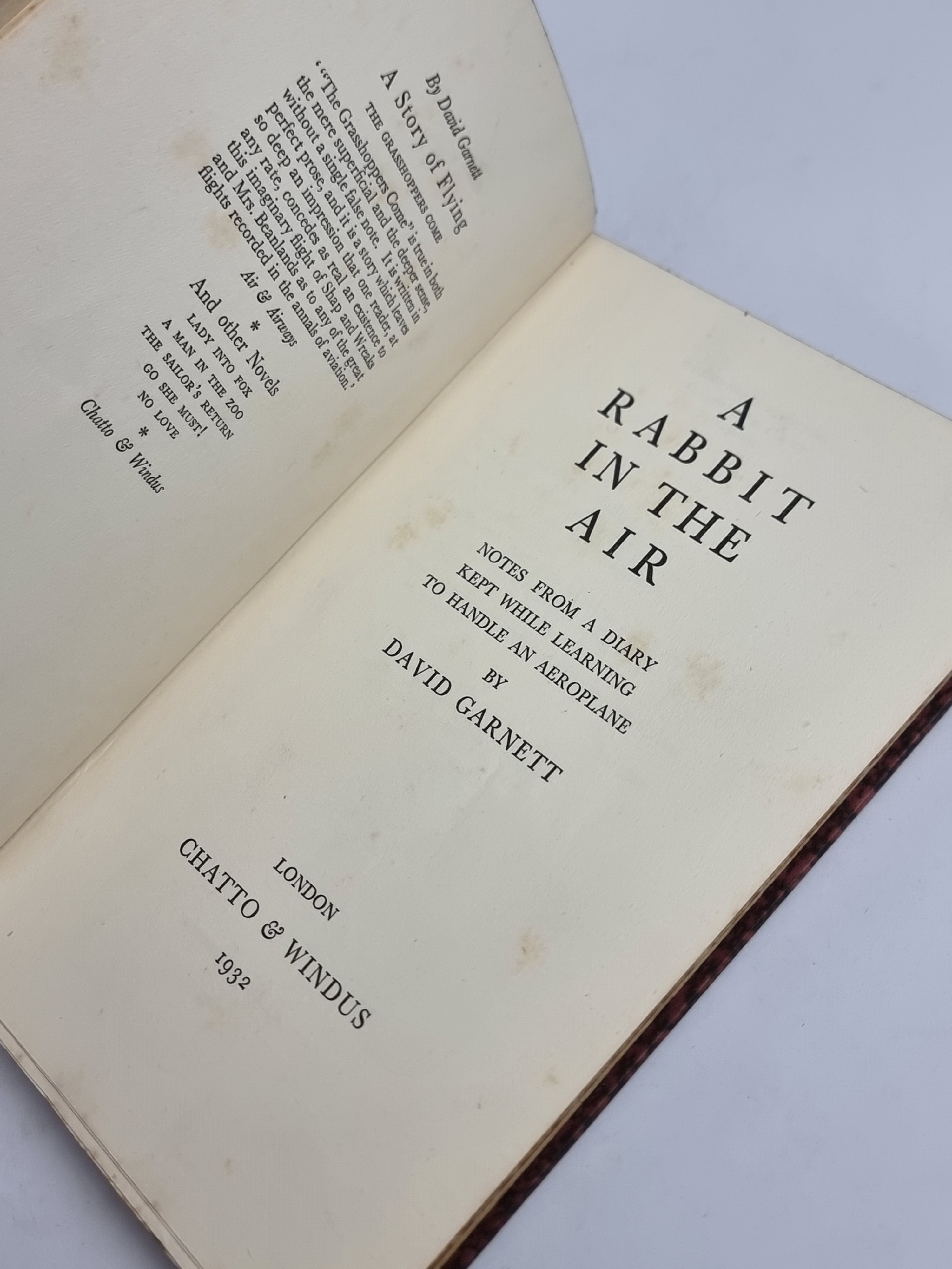 A Rabbit in the Air: Notes from a Diary Kept While Learning to Handle an Aeroplane