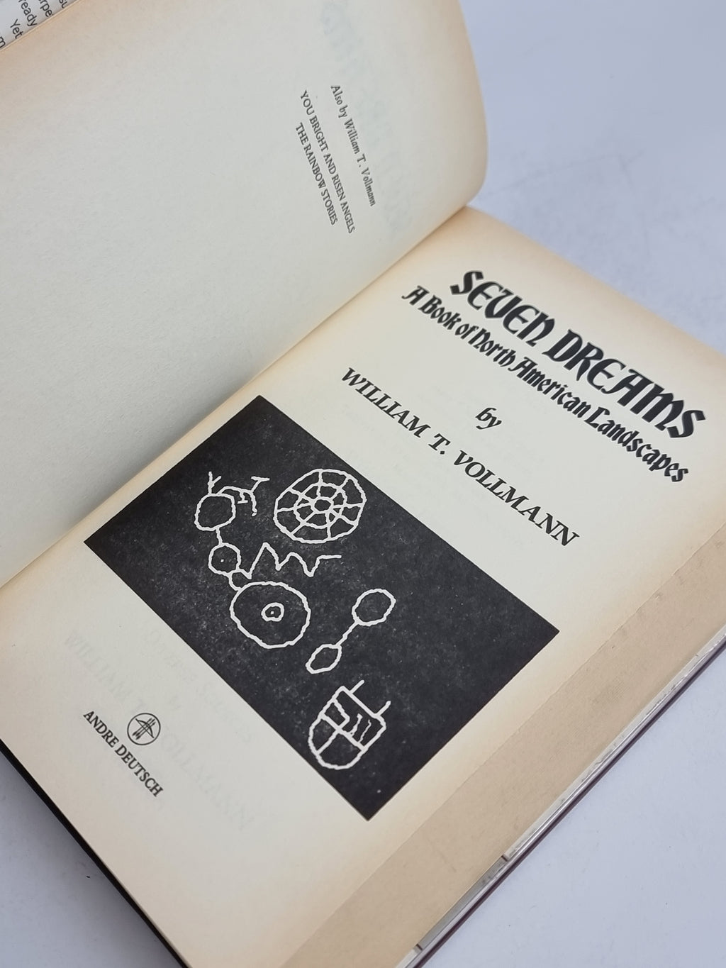 The Ice-Shirt, William T. Vollmann — 1st Edition