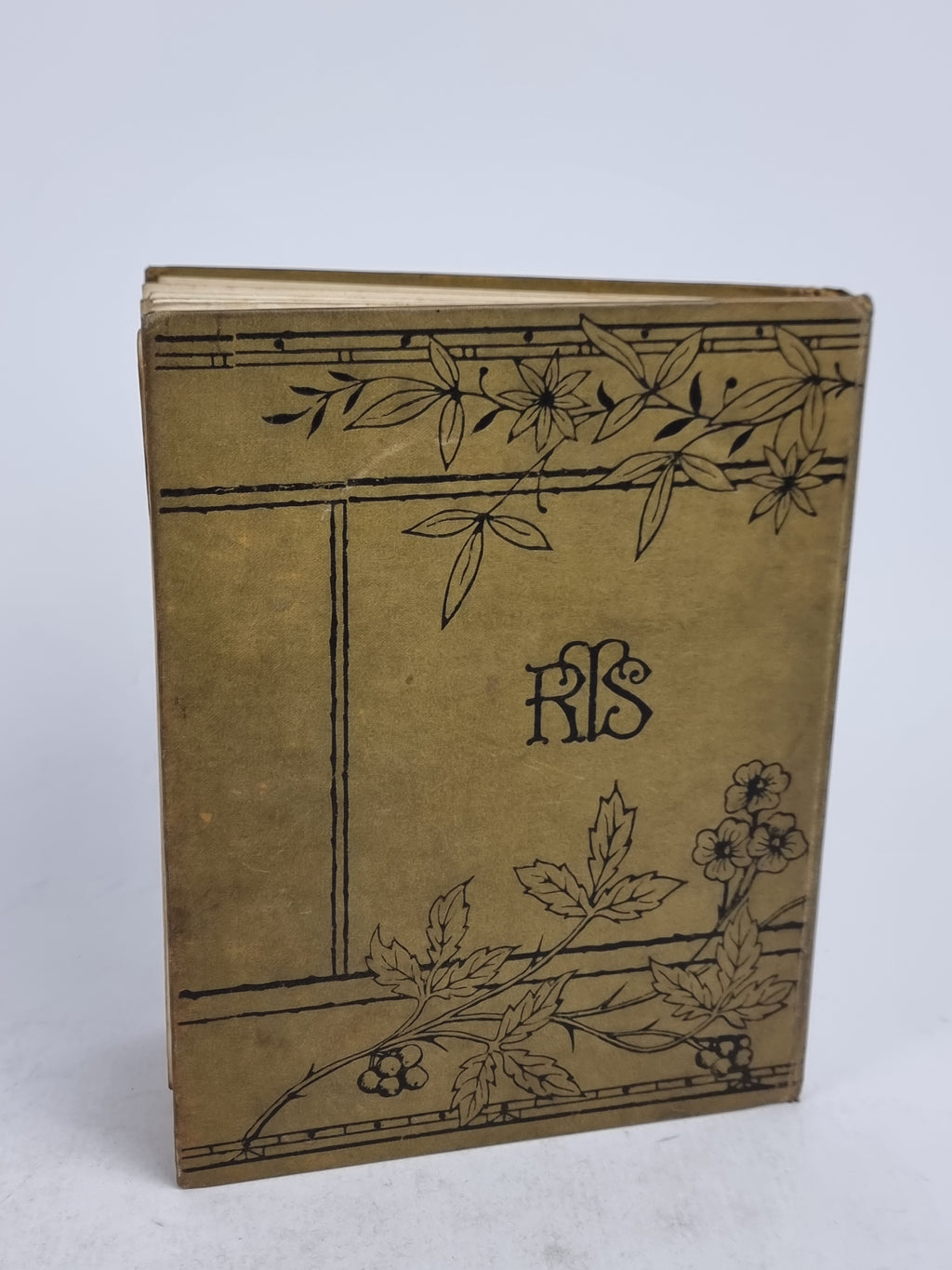 The Child's Companion and Juvenile Instructor — Annual Volume
