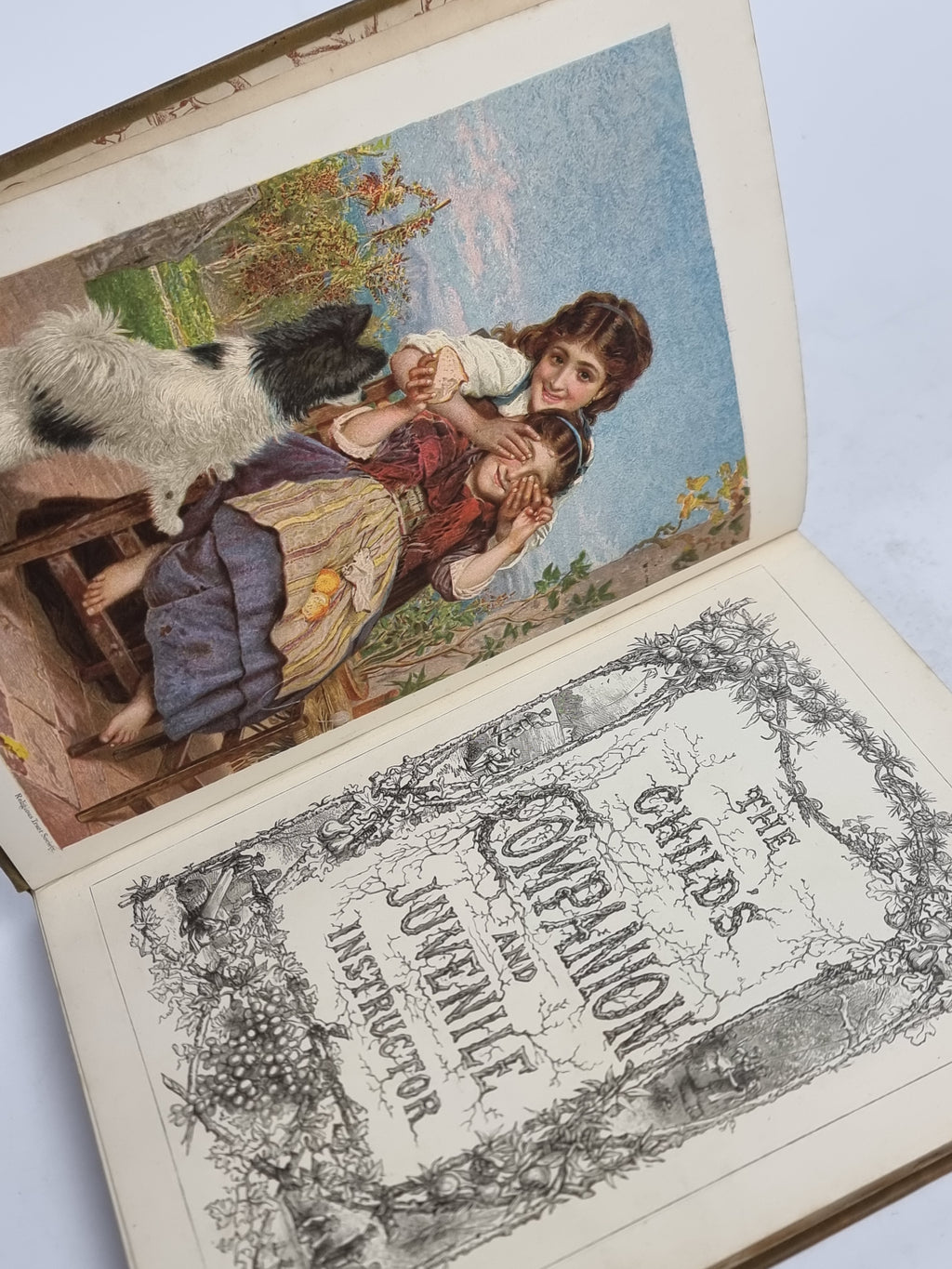 The Child's Companion and Juvenile Instructor — Annual Volume