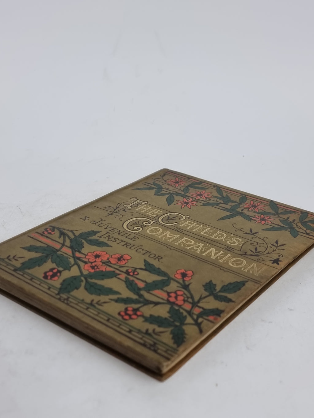The Child's Companion and Juvenile Instructor — Annual Volume