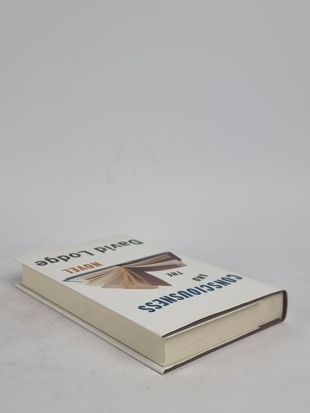 Consciousness and the Novel, David Lodge — 1st Edition