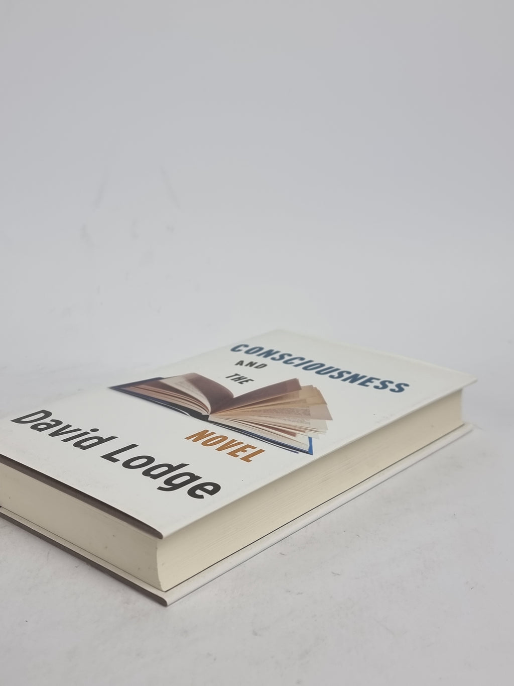 Consciousness and the Novel, David Lodge — 1st Edition
