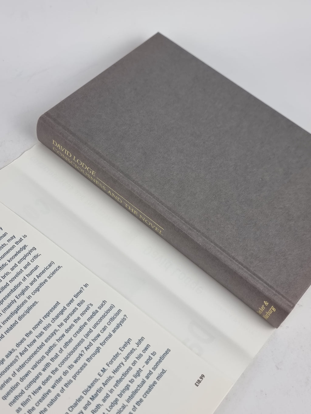Consciousness and the Novel, David Lodge — 1st Edition