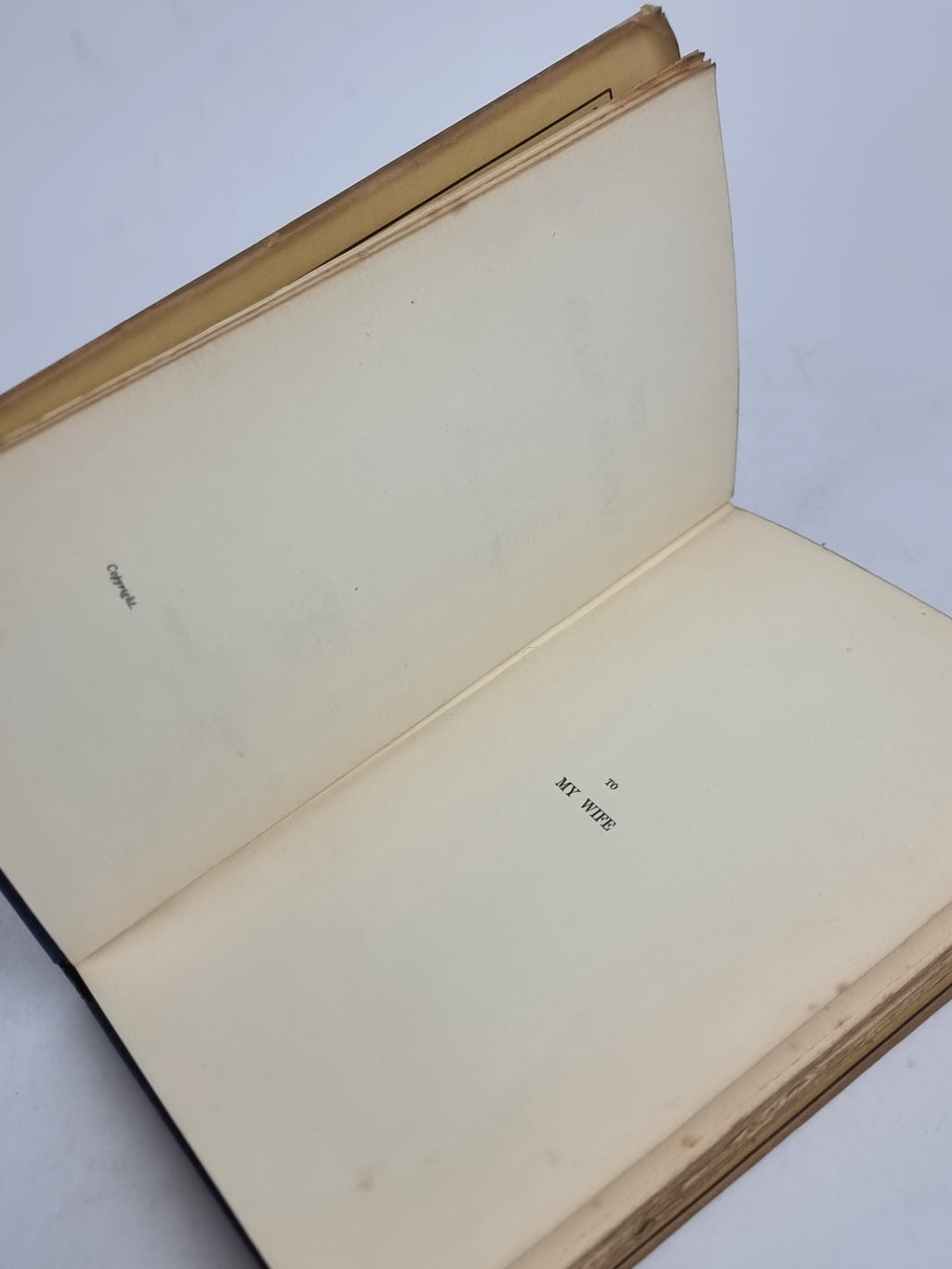 The Daffodil Fields, John Masefield — 1st Edition