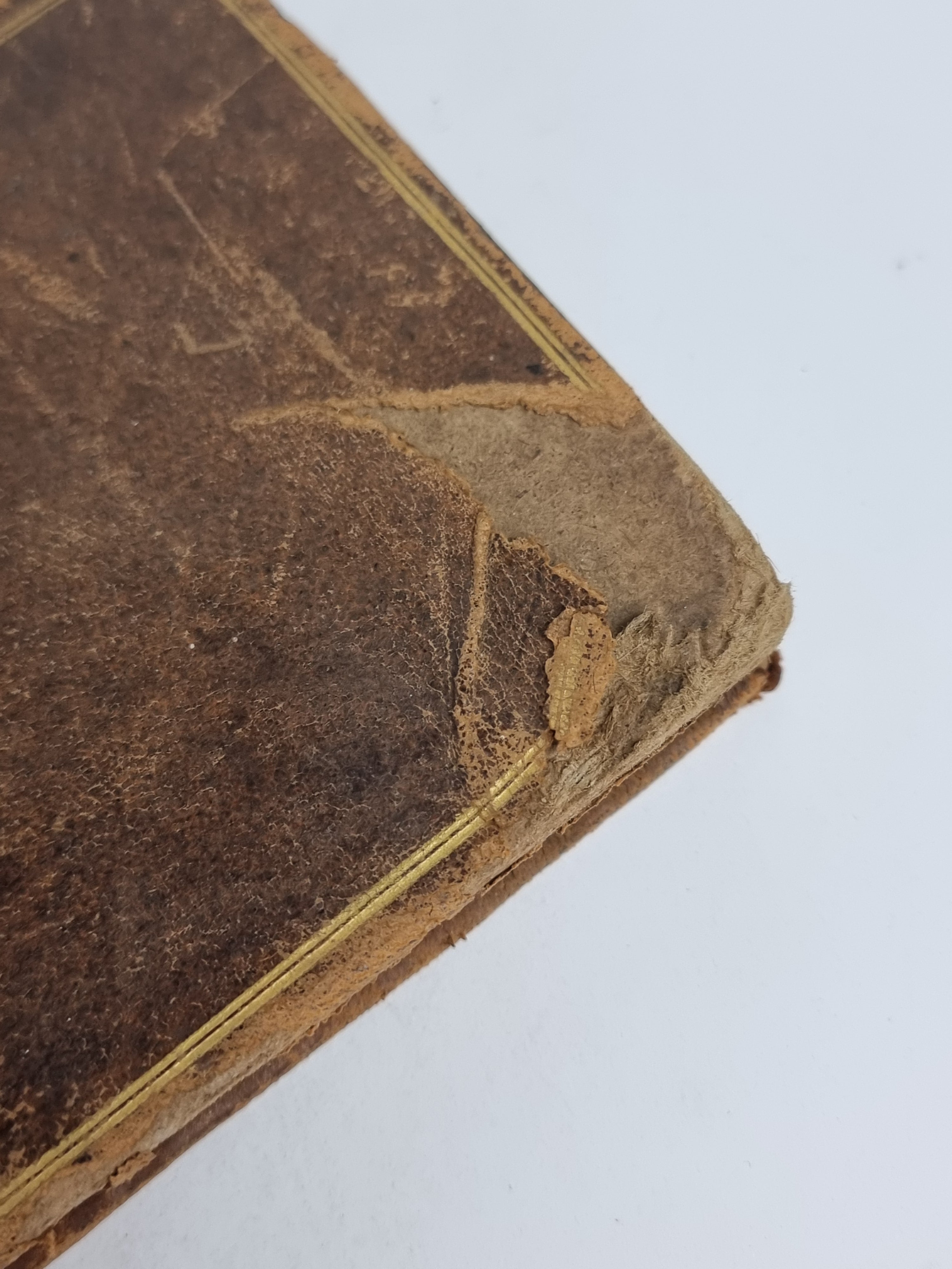 Deliciæ Britannicæ; or, the Curiosities of Hampton-Court and Windsor-Castle, Delineated