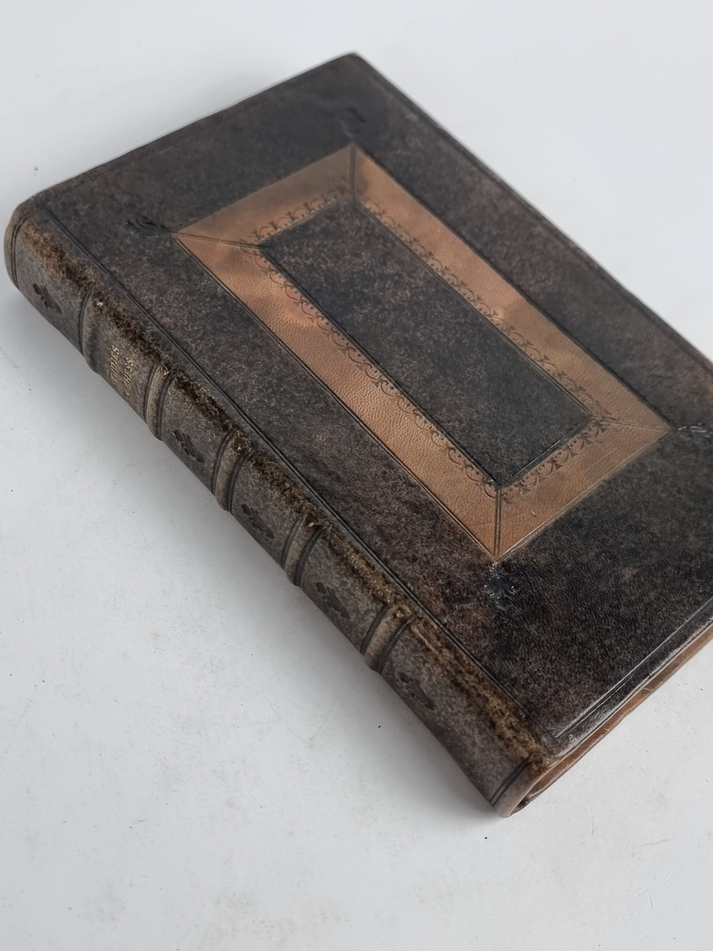 Studies of Chess; Containing Caissa, a Poem... — First Edition