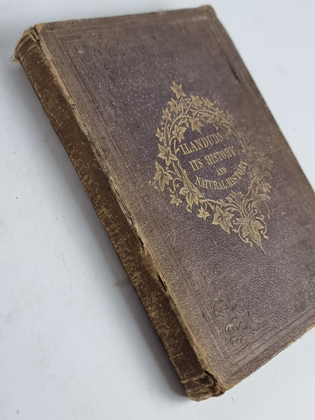 Williams's Complete Guide to Llandudno, Thomas Williams — Tenth Thousand