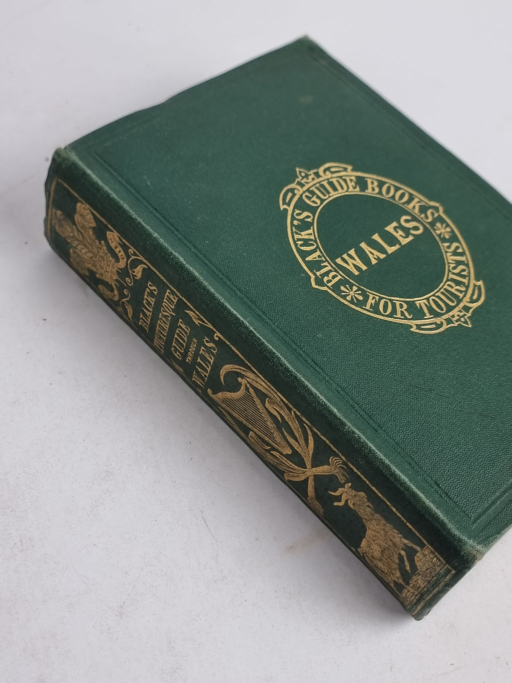 Black's Picturesque Guide to Wales North and South & Monmouth-shire