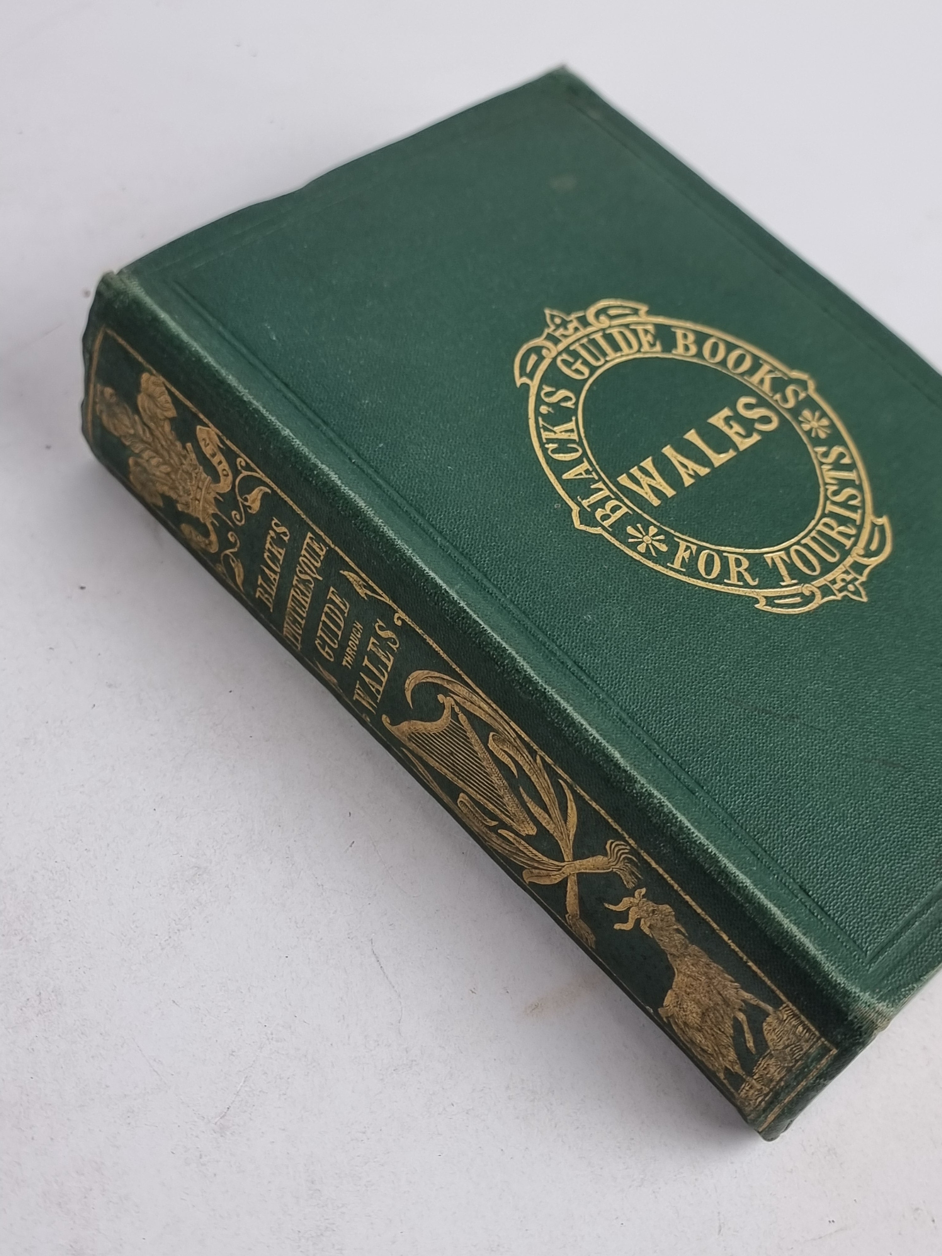 Black's Picturesque Guide to Wales North and South & Monmouth-shire