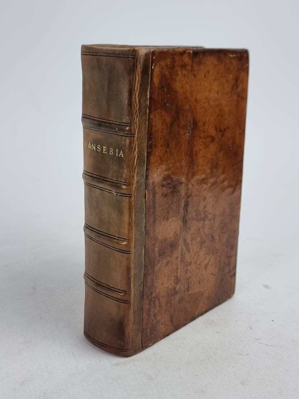 Pansebeia: or, A View of all Religions in the World (Bound with: Apocalypsis)